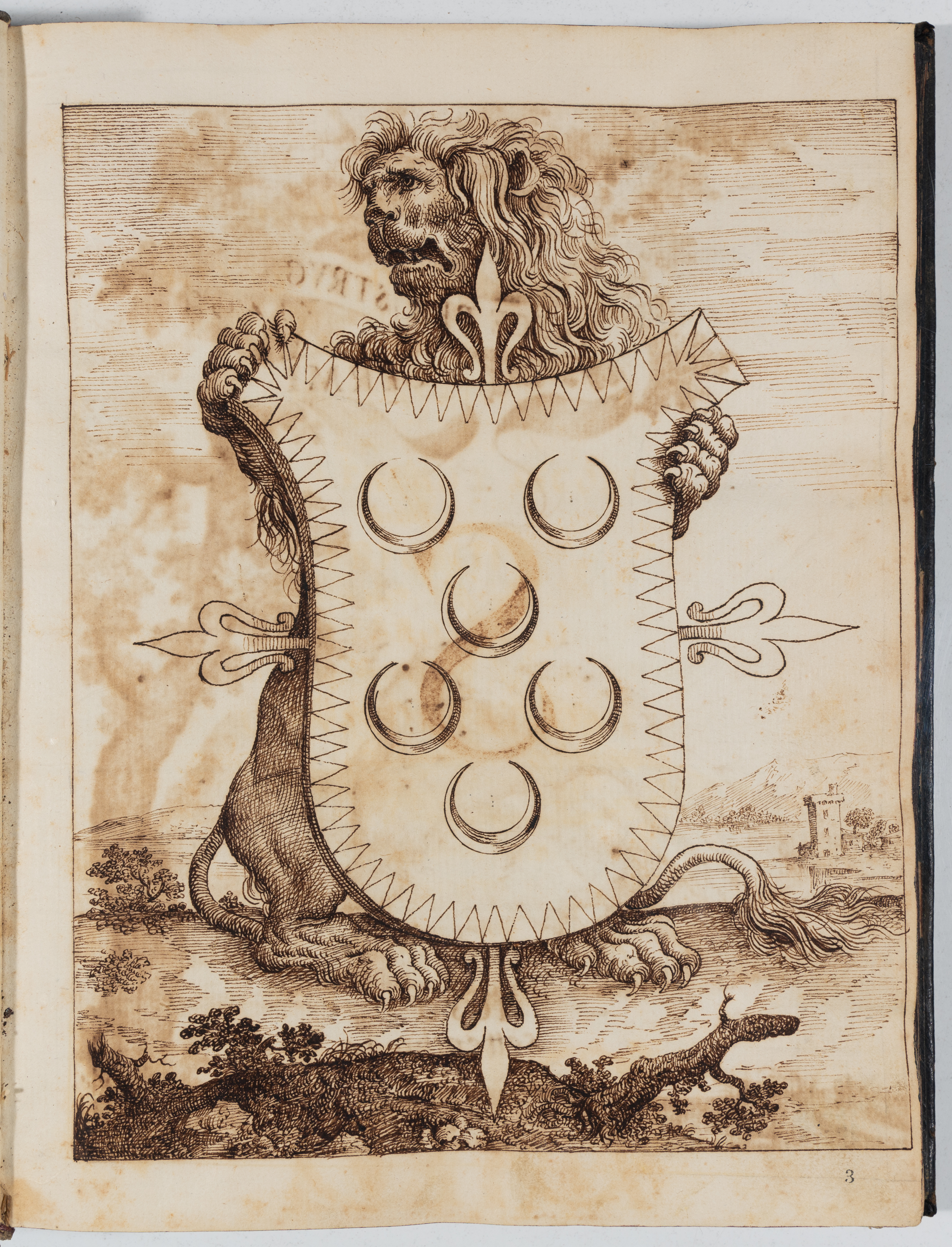 Lion holding Domenico Jacovacci's coat of arms