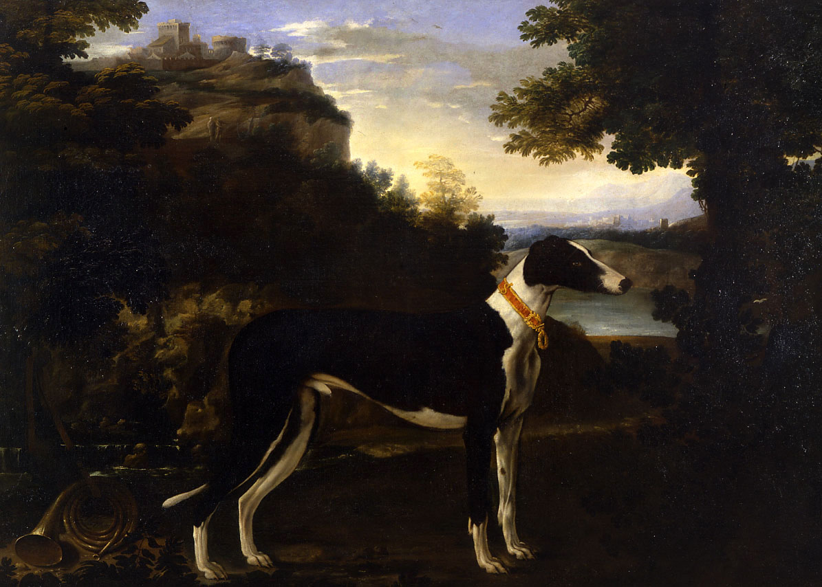 Greyhound in a landscape