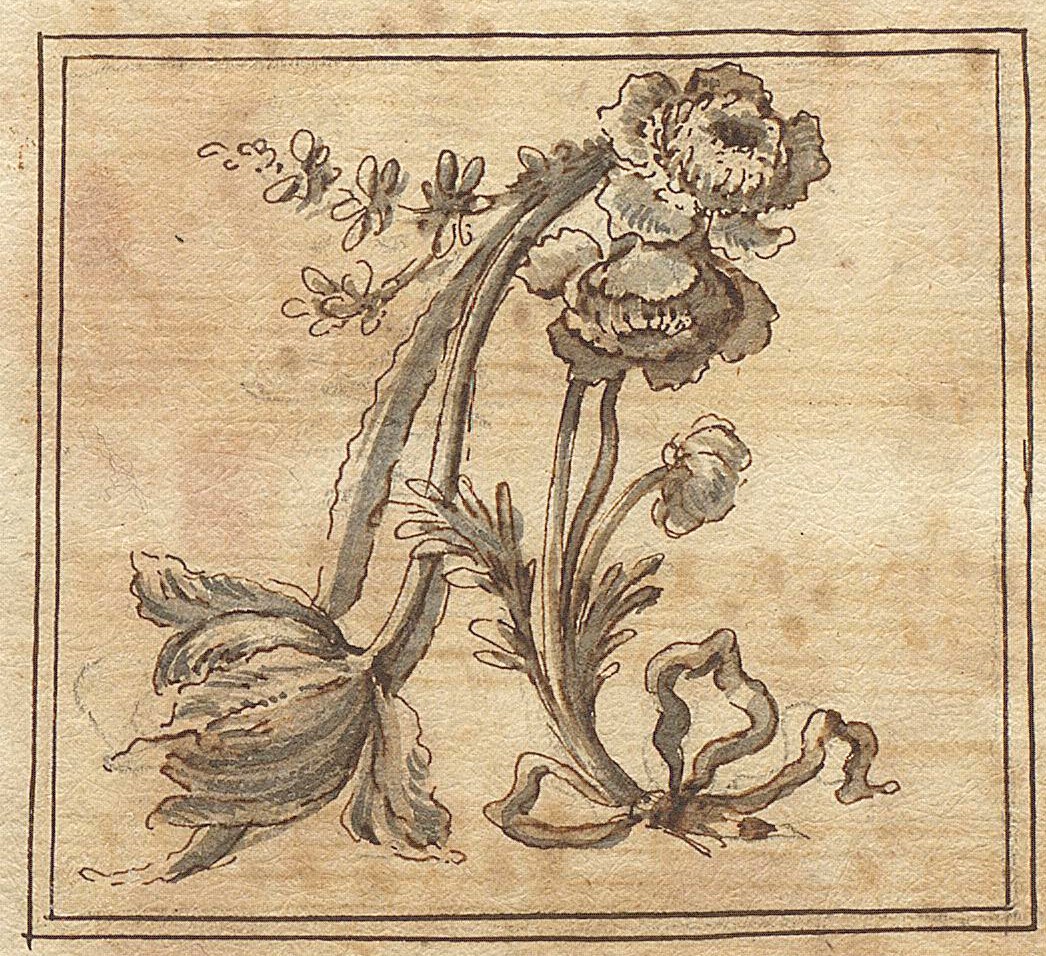 A - flowers
