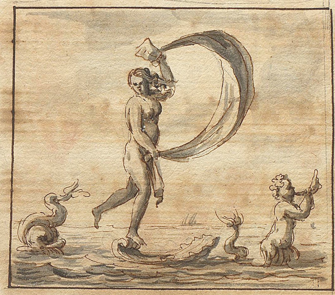 P - Venus